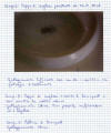 estate_03_bianchi_tovani_3a_2.jpg (79933 byte)